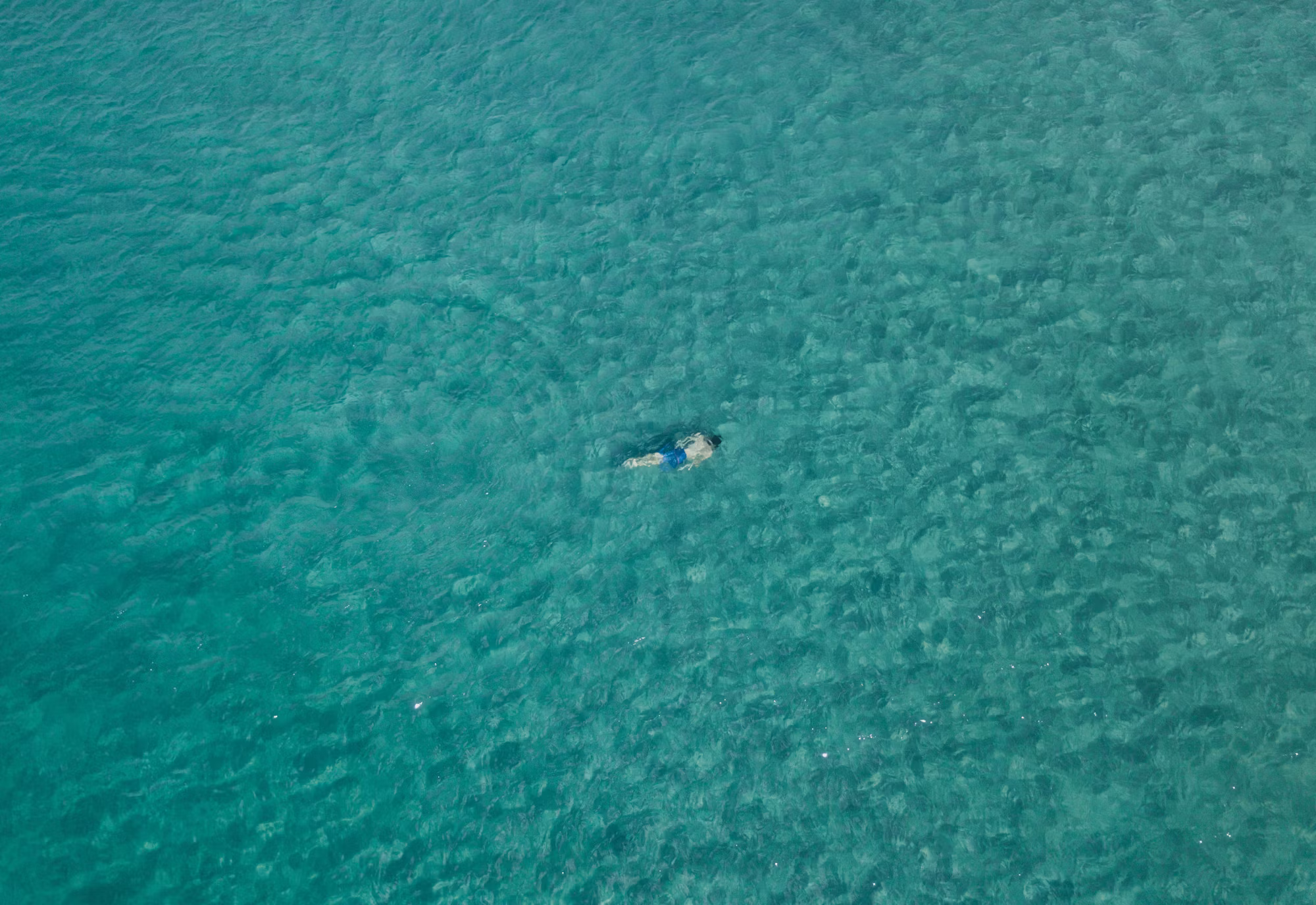 A Beginner’s Guide to Scuba Diving: Explore the Depths of the Ocean