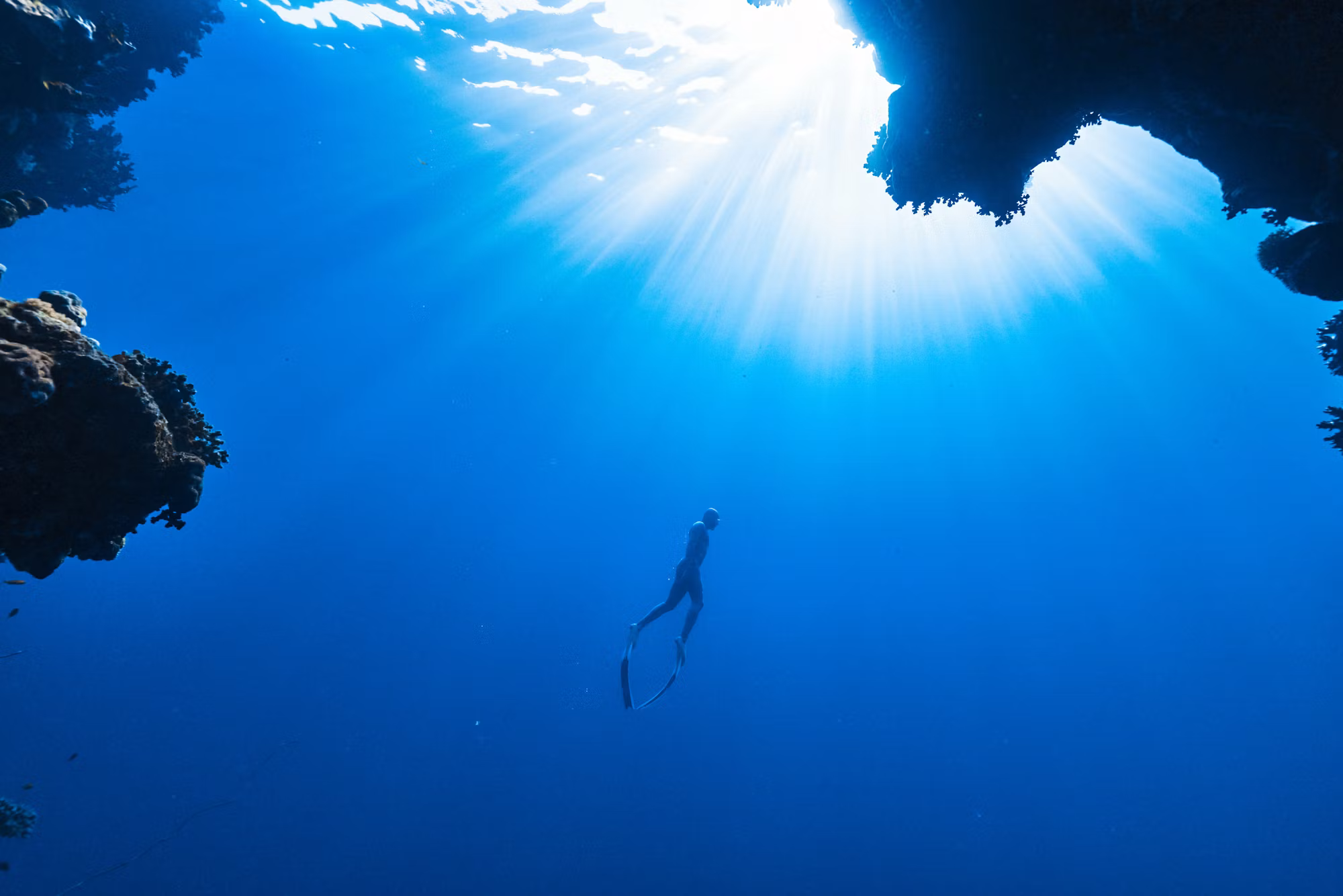 Diving Into Adventure: A Comprehensive Look at Underwater Sports